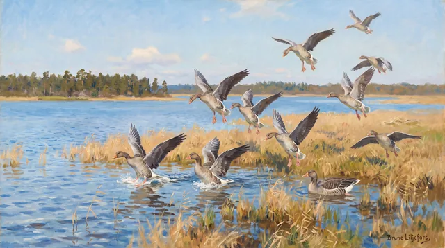 Geese Descending on the Marsh — Swedish Naturalism