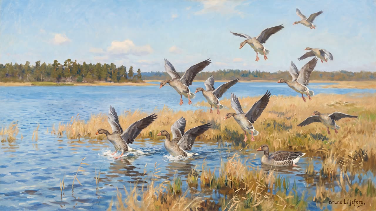 Geese Descending on the Marsh — a still from the animation